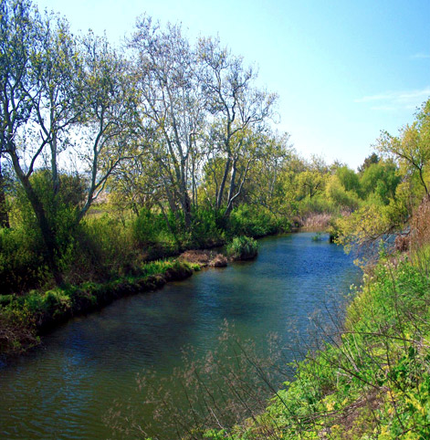 Cotote Creek